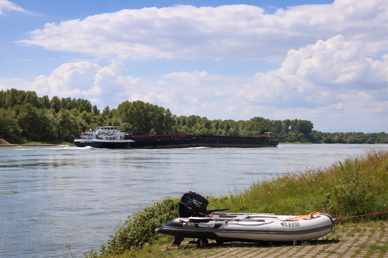 Kühles Mittagslicht am Rheinufer
