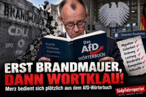 Erst Brandmauer, dann Wortklau: Merz und das AfD-Wörterbuch